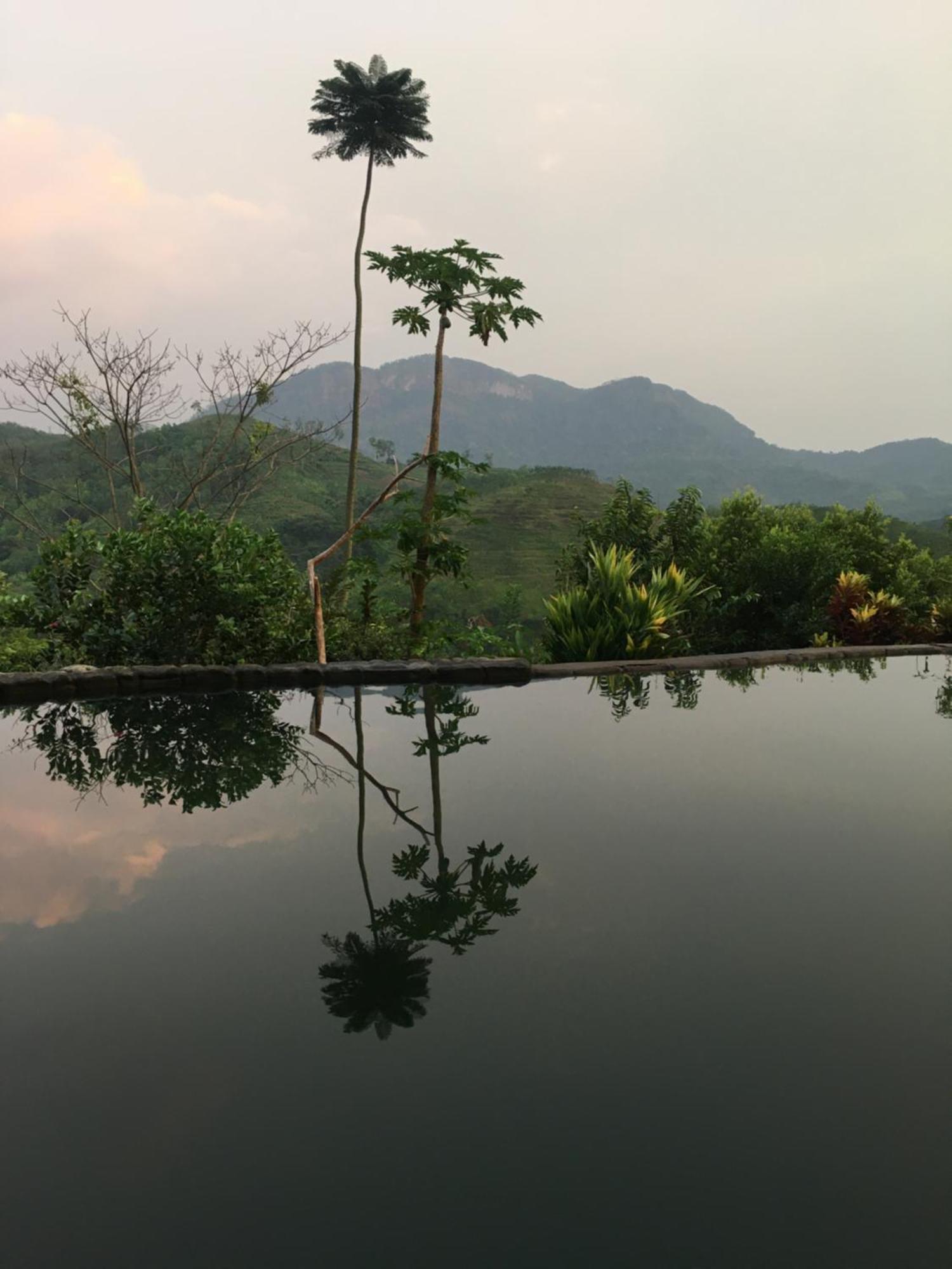 Paradise Eco Garden คิตุลกาลา ภายนอก รูปภาพ