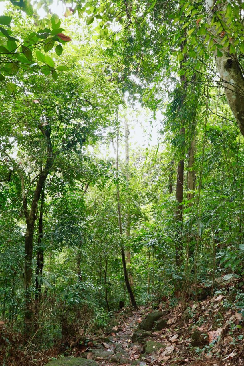 Paradise Eco Garden คิตุลกาลา ภายนอก รูปภาพ