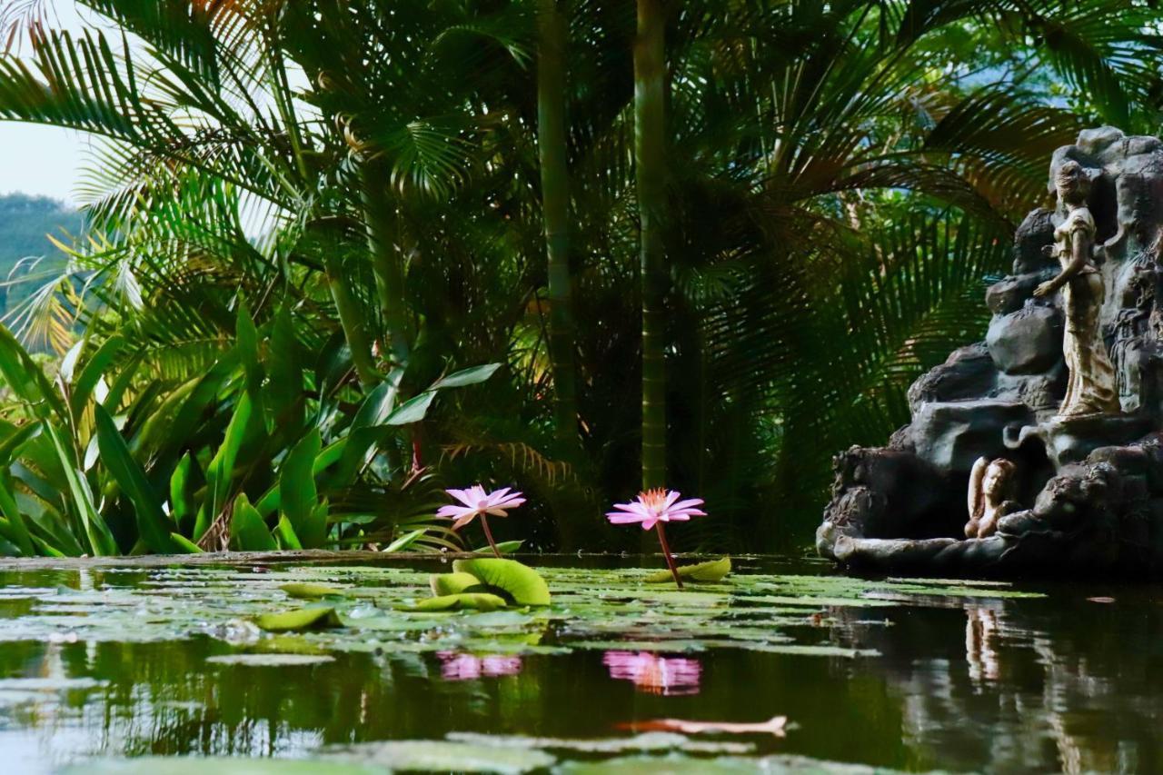 Paradise Eco Garden คิตุลกาลา ภายนอก รูปภาพ