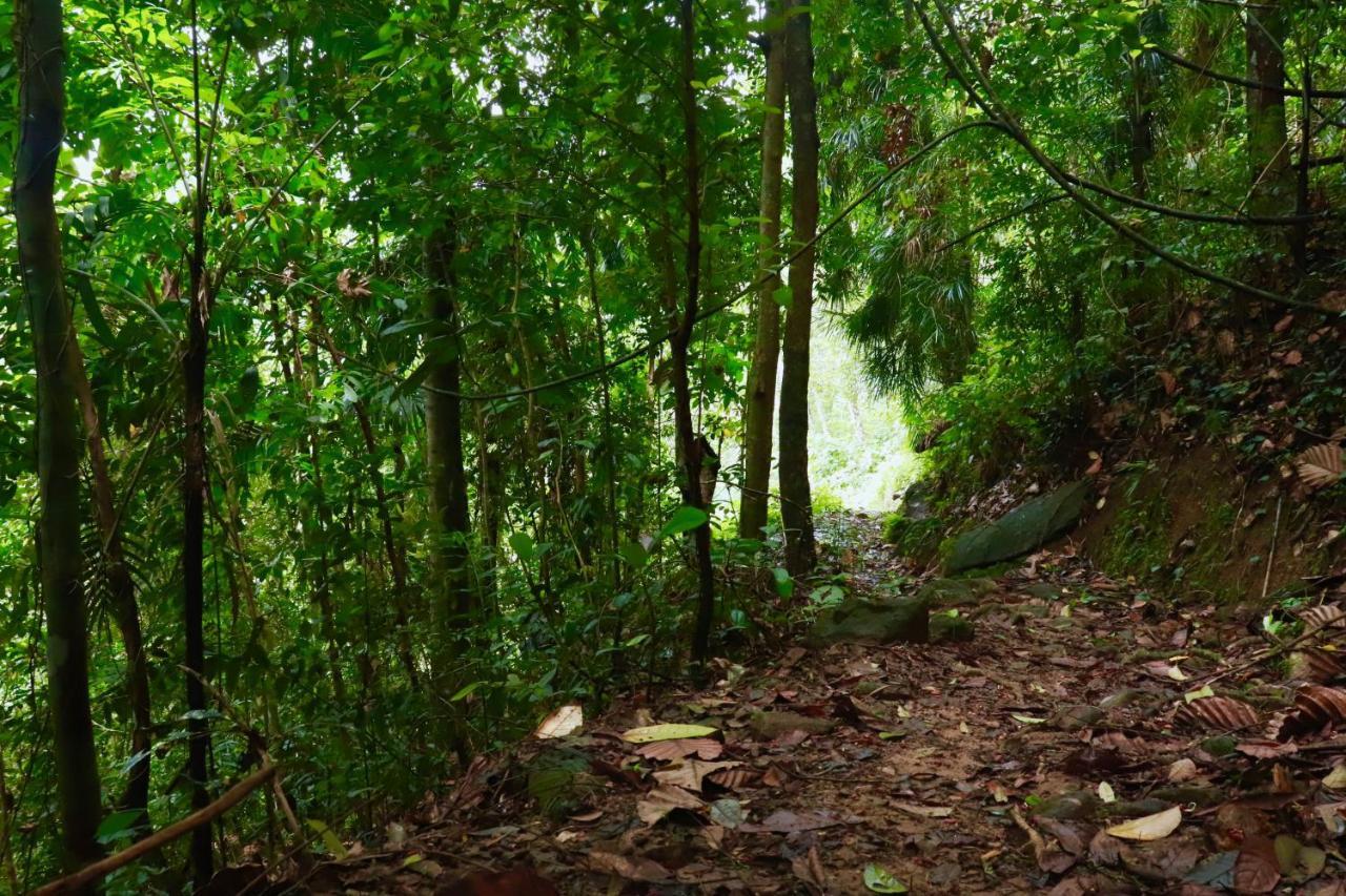 Paradise Eco Garden คิตุลกาลา ภายนอก รูปภาพ