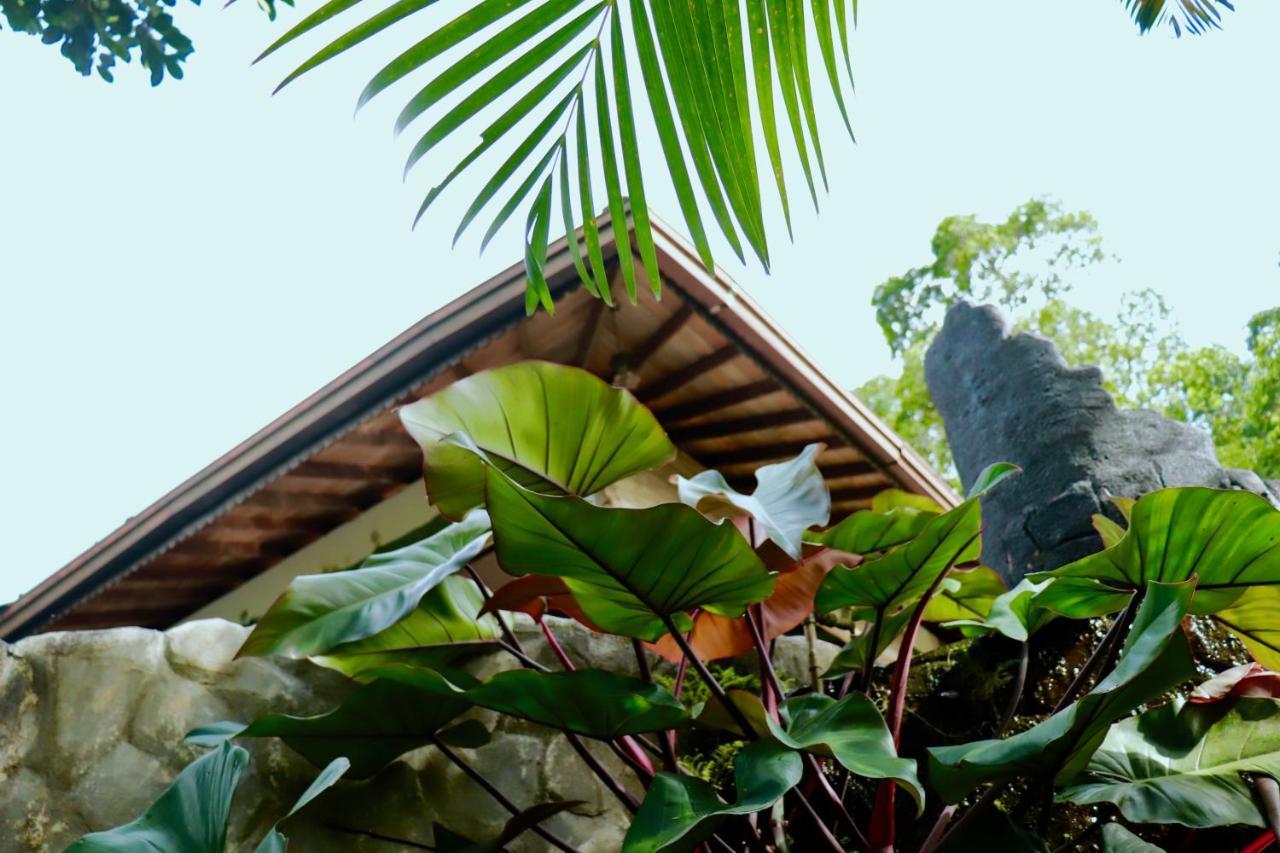 Paradise Eco Garden คิตุลกาลา ภายนอก รูปภาพ