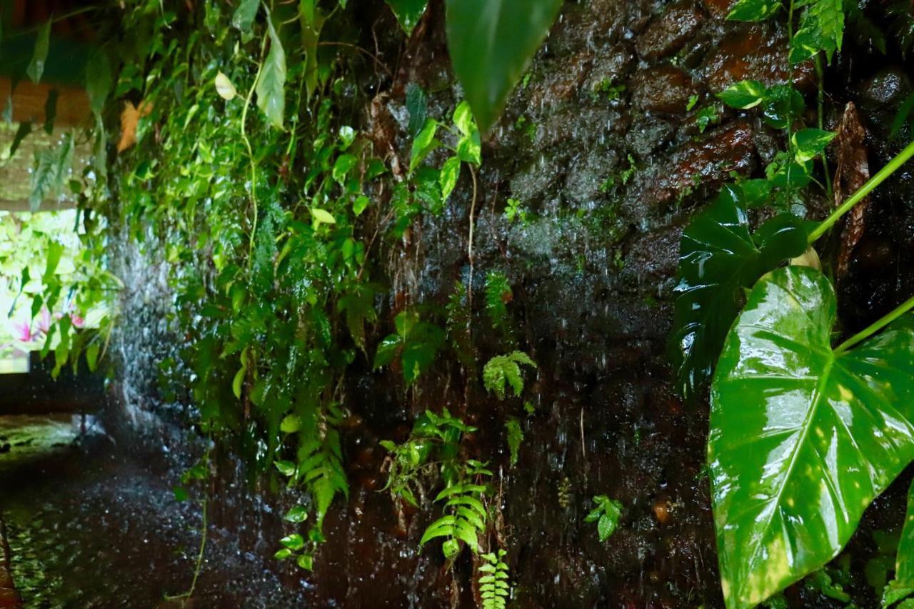 Paradise Eco Garden คิตุลกาลา ภายนอก รูปภาพ