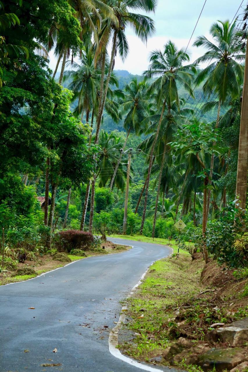 Paradise Eco Garden คิตุลกาลา ภายนอก รูปภาพ