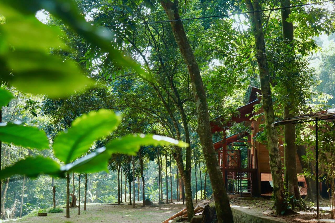 Paradise Eco Garden คิตุลกาลา ภายนอก รูปภาพ