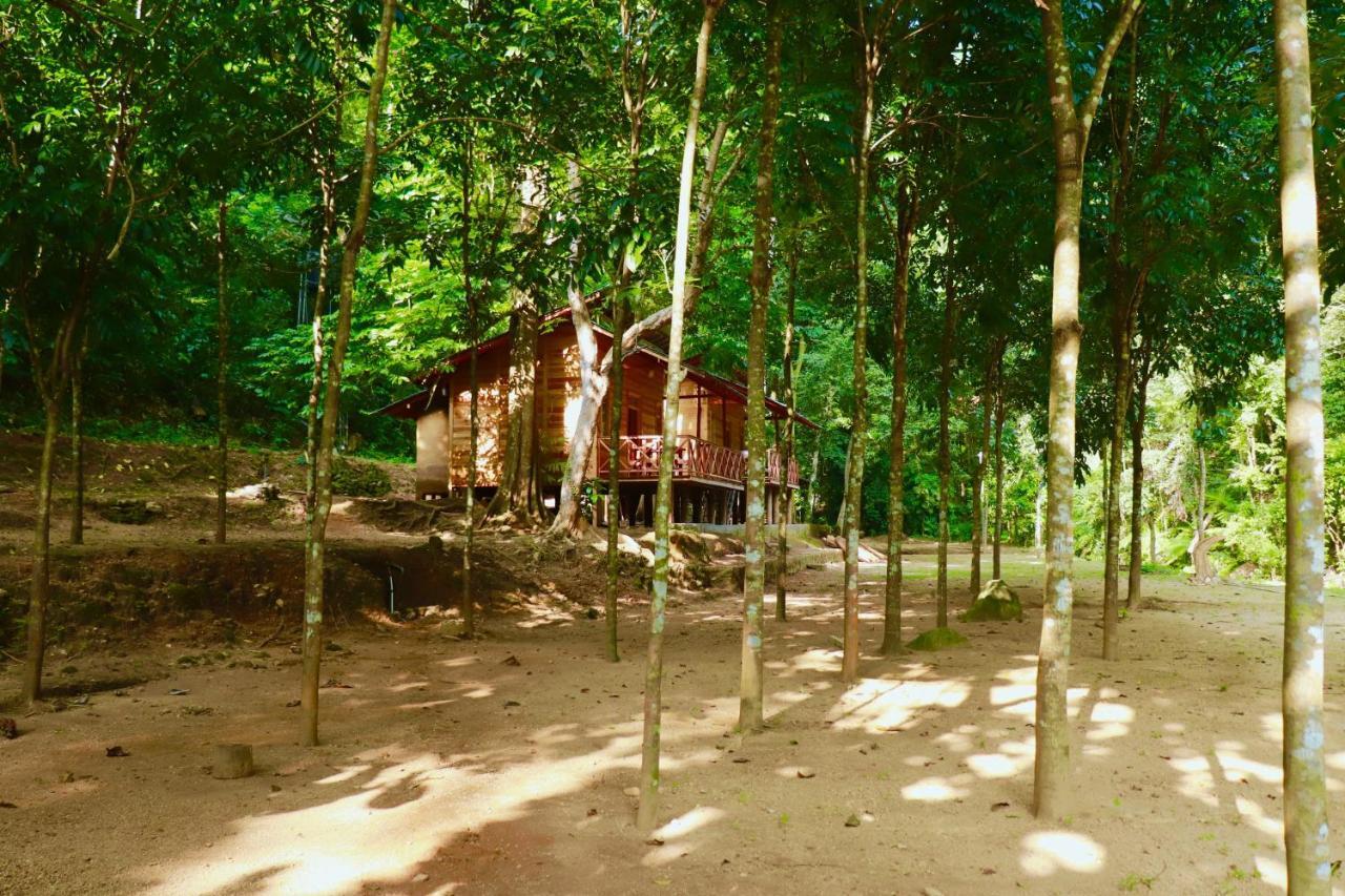 Paradise Eco Garden คิตุลกาลา ภายนอก รูปภาพ
