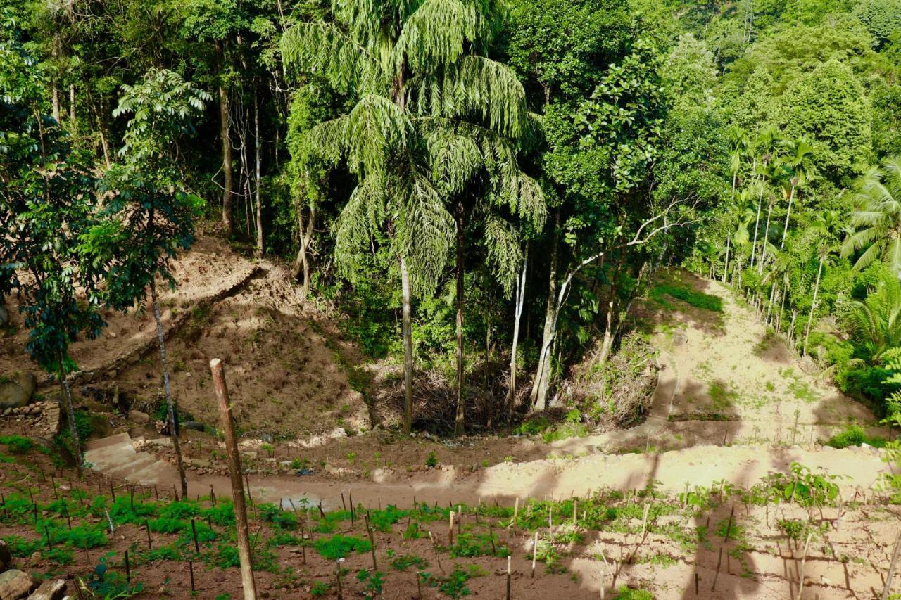 Paradise Eco Garden คิตุลกาลา ภายนอก รูปภาพ