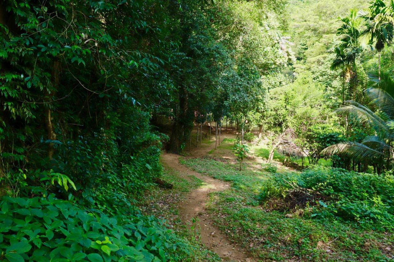 Paradise Eco Garden คิตุลกาลา ภายนอก รูปภาพ
