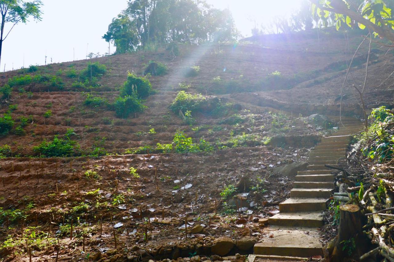 Paradise Eco Garden คิตุลกาลา ภายนอก รูปภาพ